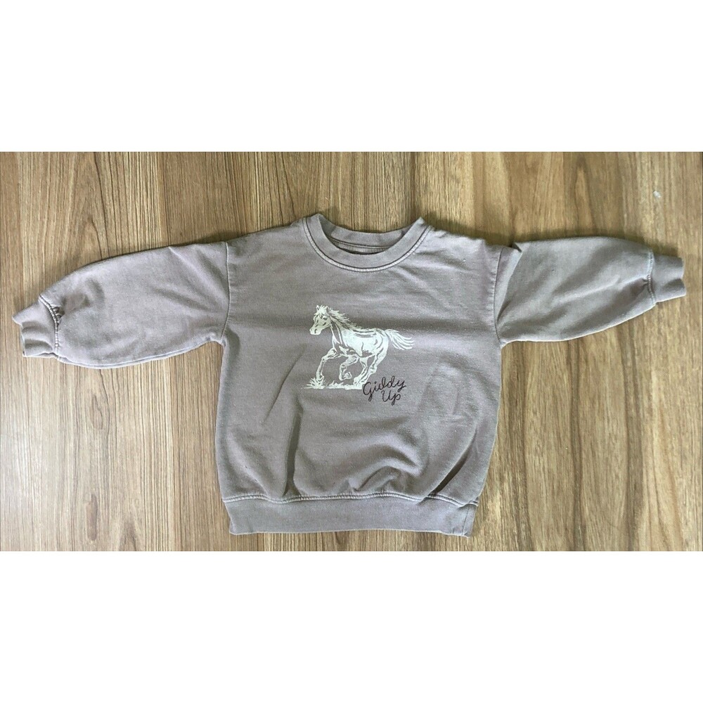 Cat & Jack Giddy Up Sweatshirt Crewneck Fleece Pullover (Size 3T) Horses Cowboy
